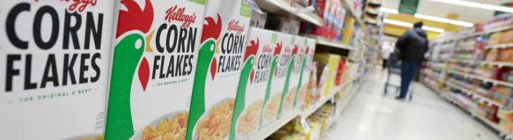 Kellogg’s ‘woke’ workplace diversity programs are illegal, group claims