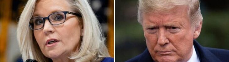 Liz Cheney Warns GOP Donors ‘Better Beware’ After Trump Takes Over RNC